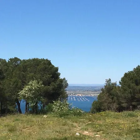 3p Climatise Avec Parking, Piscine, Proche Et Commerces A - Fr-1-338-497 * Sete